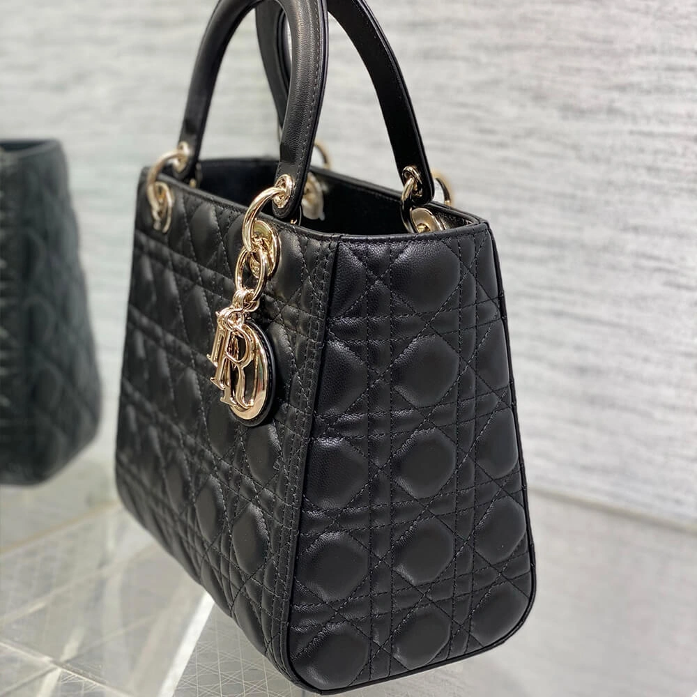 Medium Lady Dior Bag Practical 2314