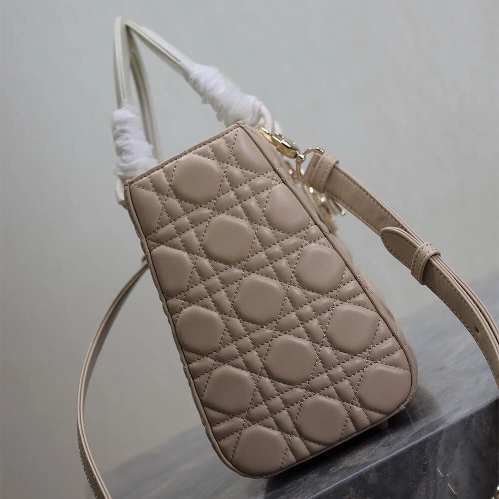 Sustainable Medium Lady Dior Bag 2311