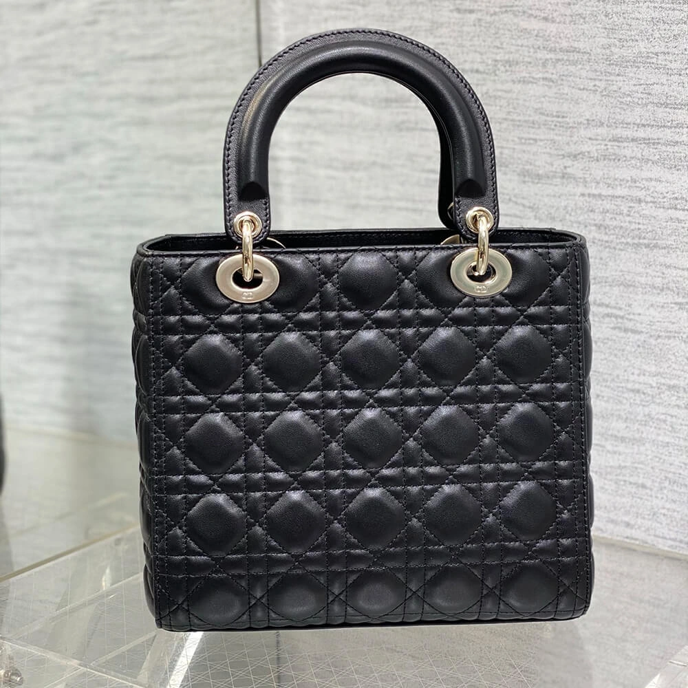 Medium Lady Dior Bag Practical 2314