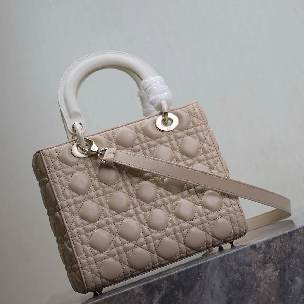 Sustainable Medium Lady Dior Bag 2311