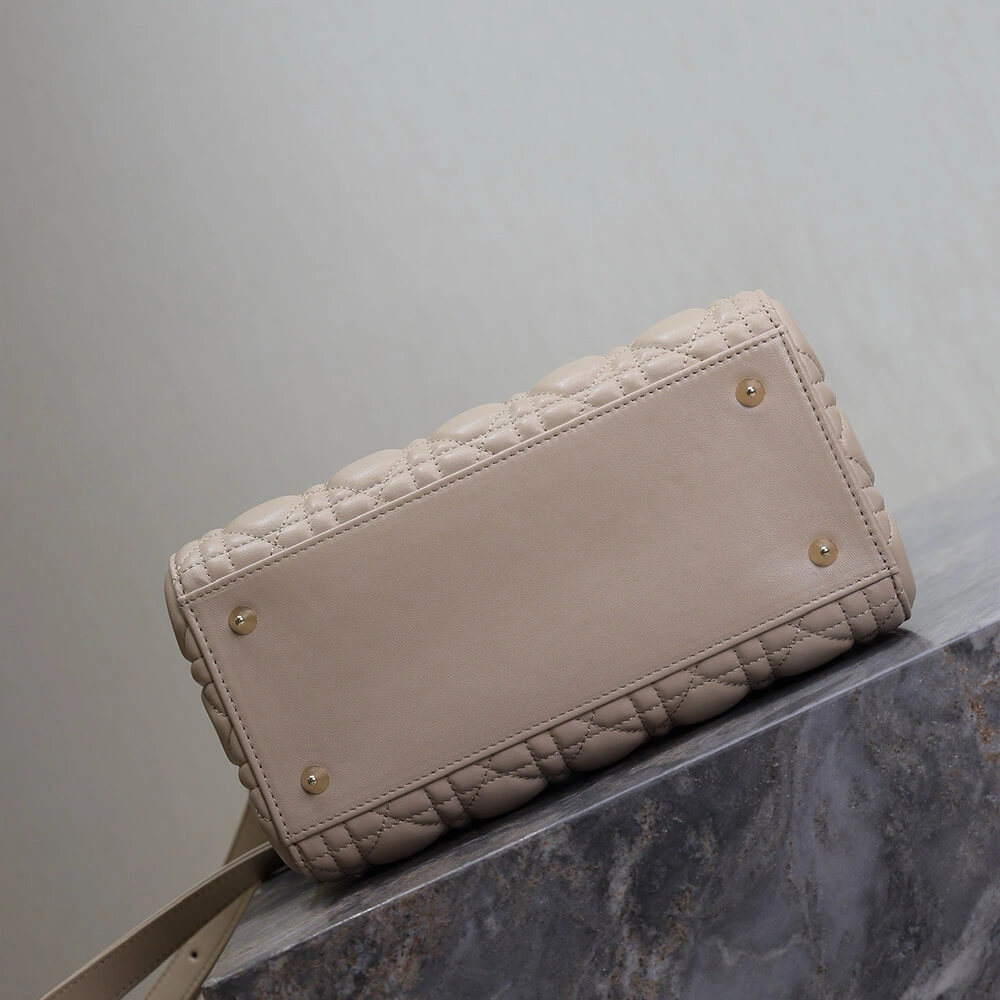 Sustainable Medium Lady Dior Bag 2311