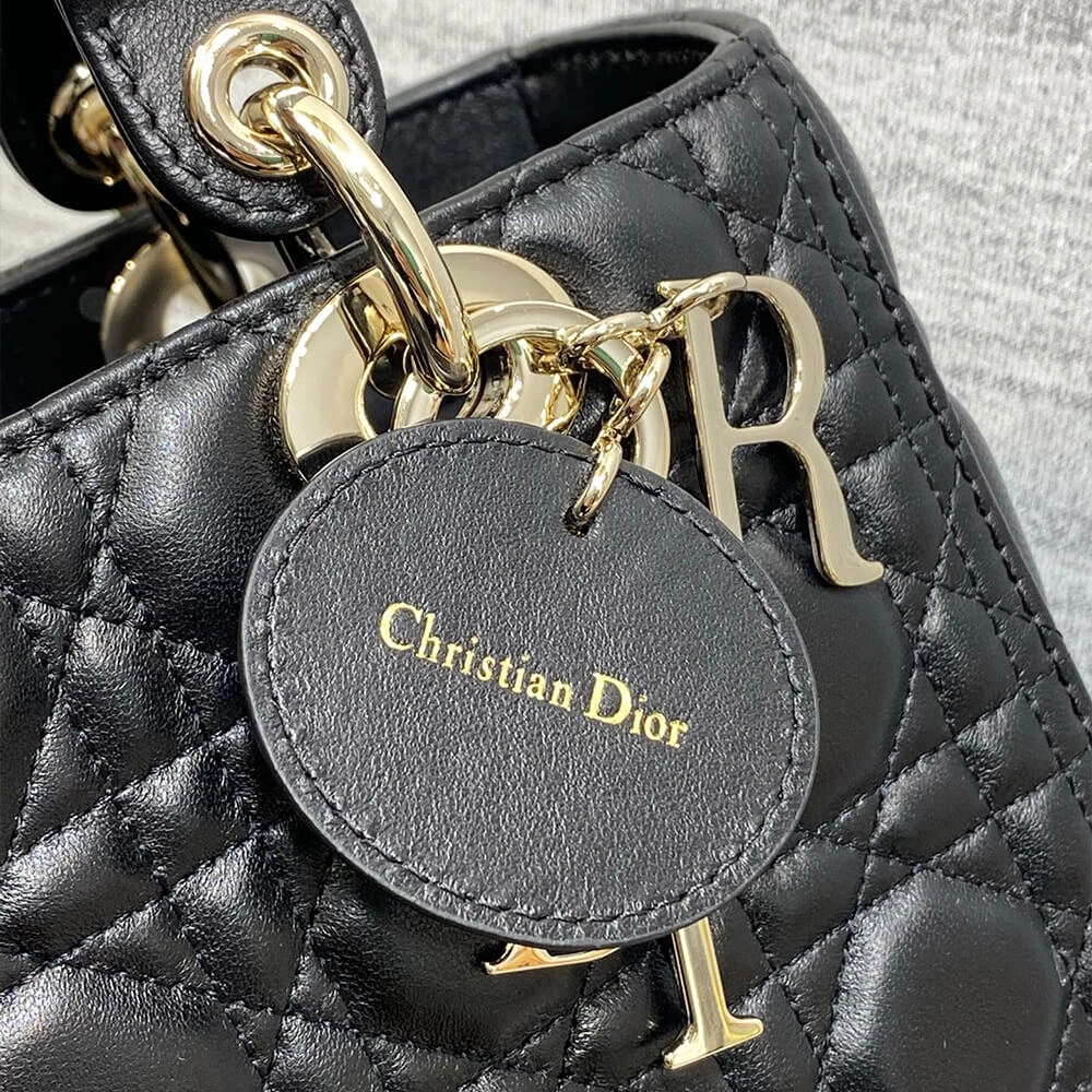 Medium Lady Dior Bag Practical 2314