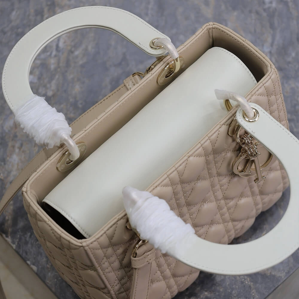 Sustainable Medium Lady Dior Bag 2311