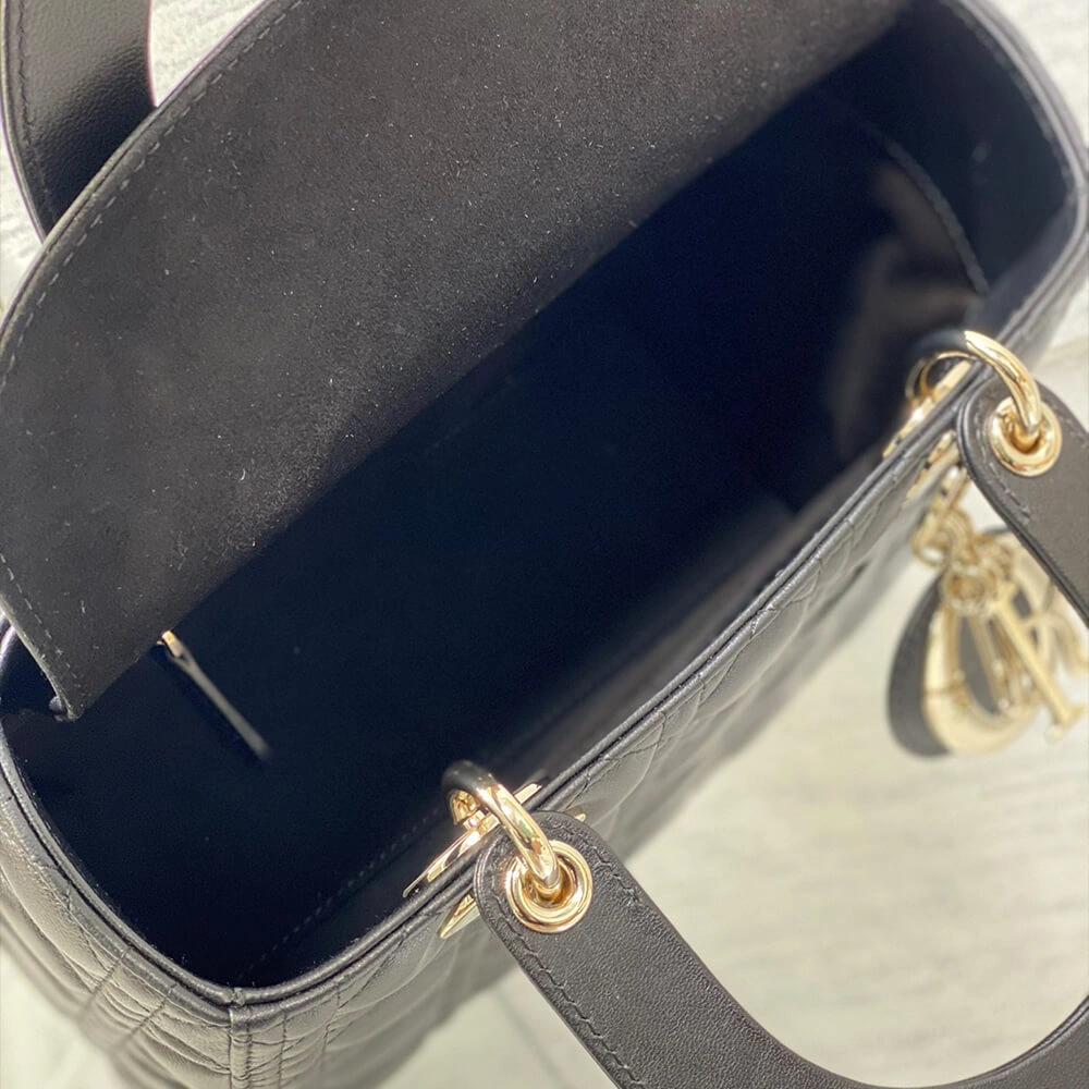 Medium Lady Dior Bag Practical 2314
