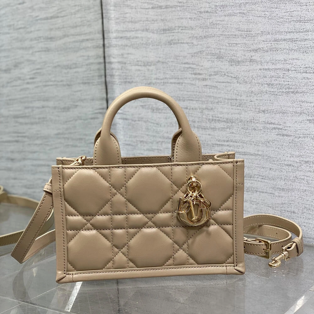 Mini Dior Book Tote WellDesigned 2054