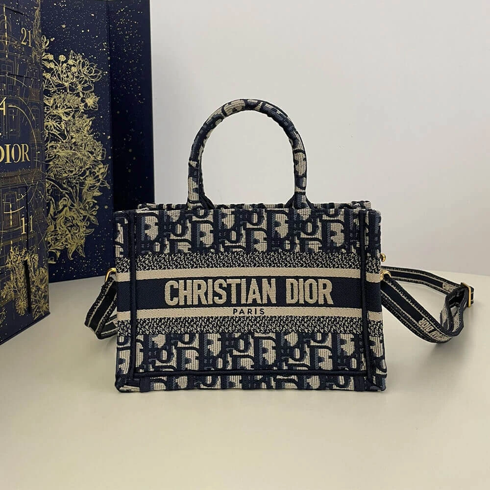 Resilient Mini Dior Book Tote 2118