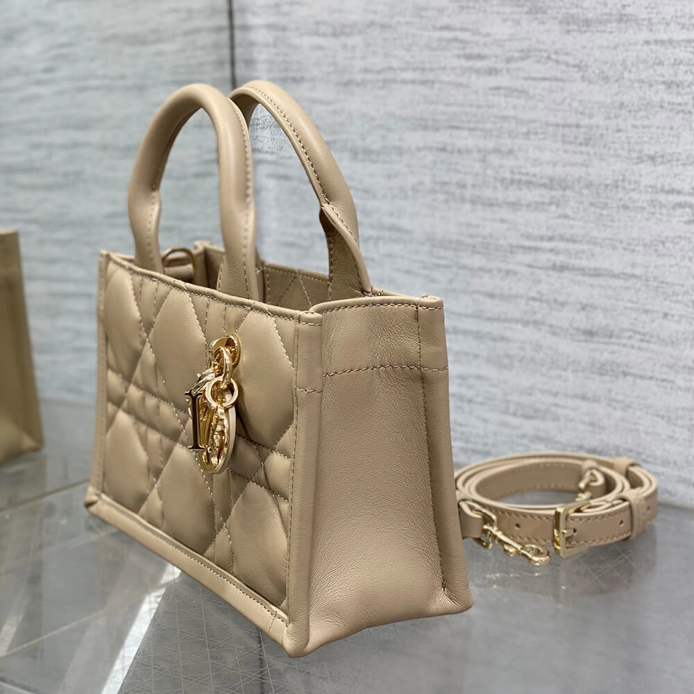 Mini Dior Book Tote WellDesigned 2054