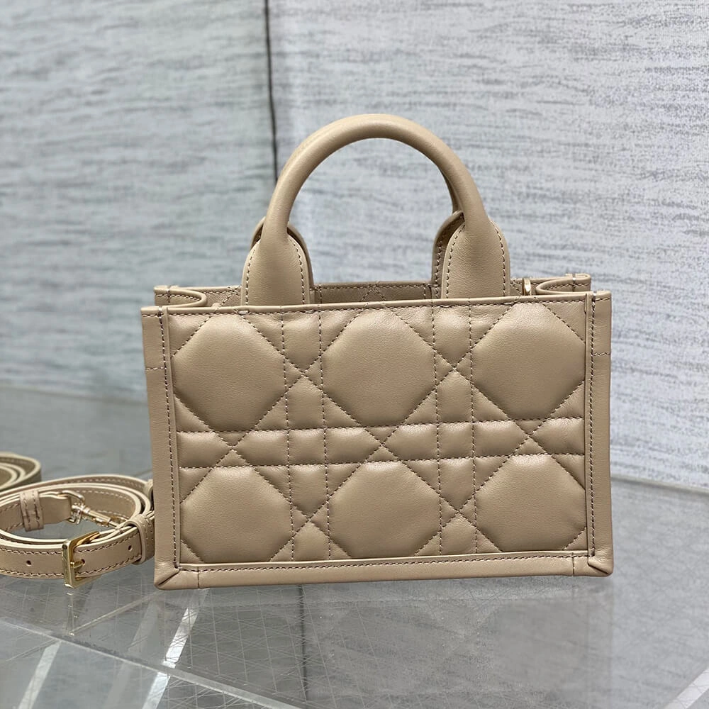 Mini Dior Book Tote WellDesigned 2054