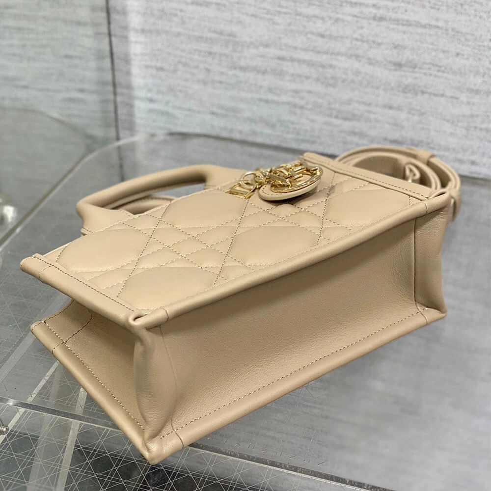 Mini Dior Book Tote WellDesigned 2054