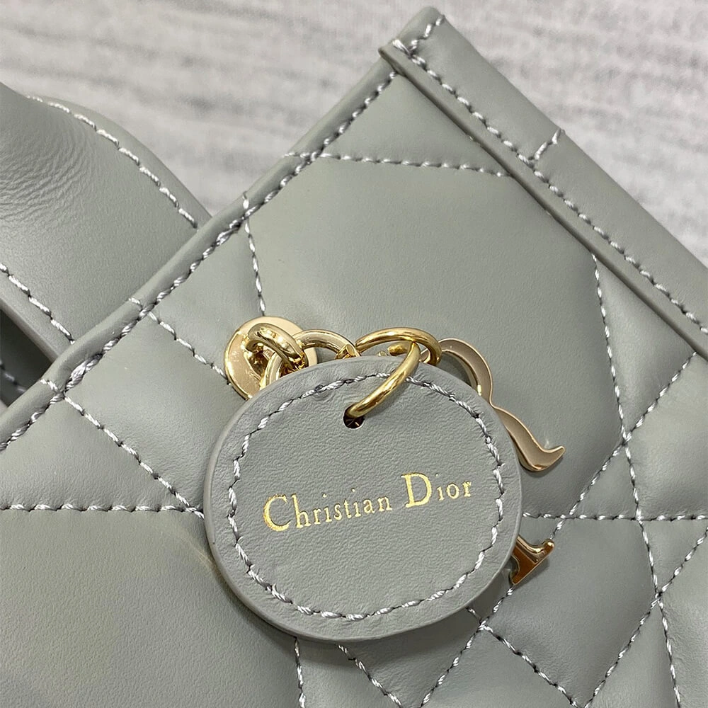 Mini Dior Book Tote Flexible 2132