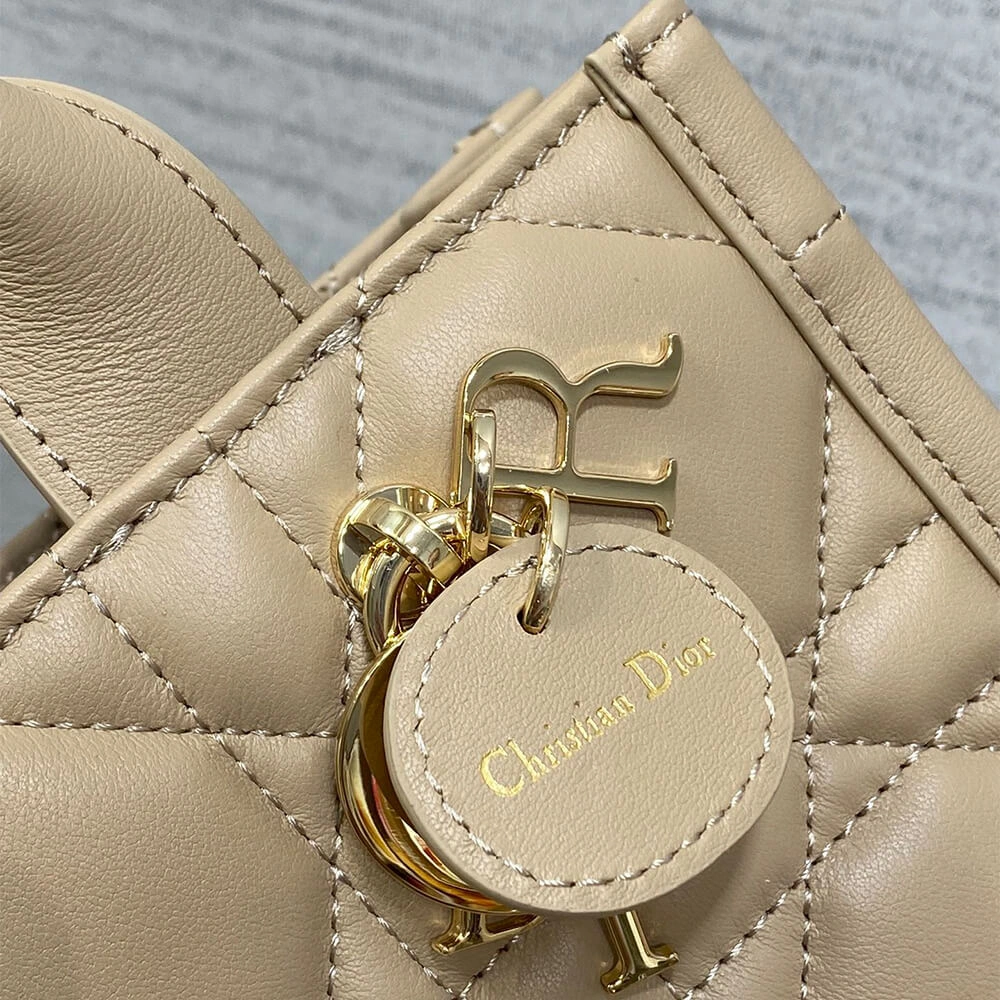 Mini Dior Book Tote WellDesigned 2054