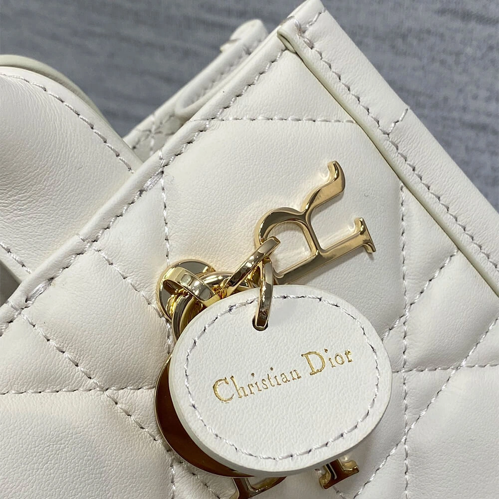 Mini Dior Book Tote HighQuality 2090