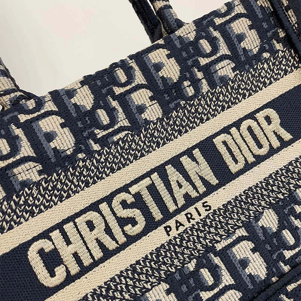 Resilient Mini Dior Book Tote 2118