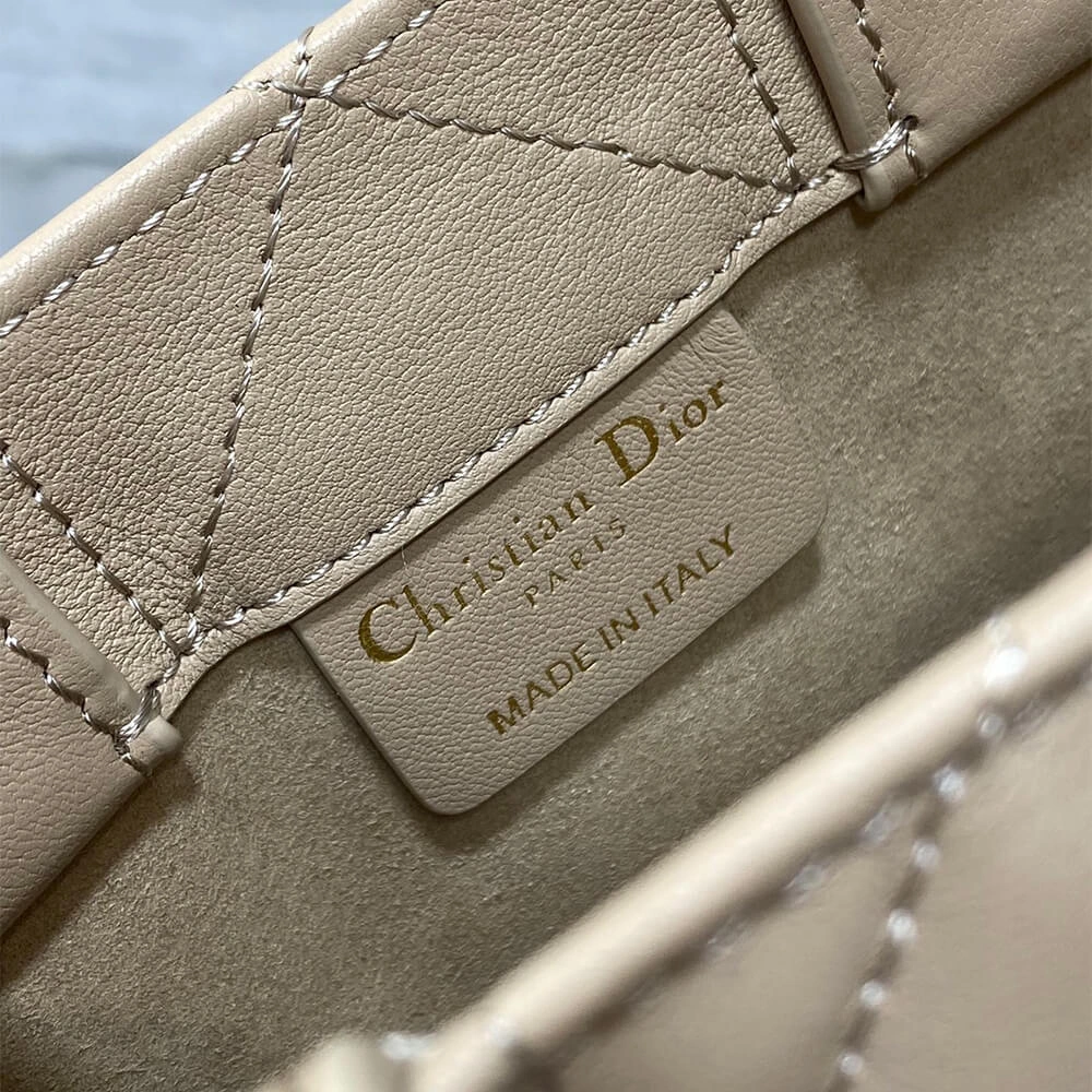 Mini Dior Book Tote WellDesigned 2054
