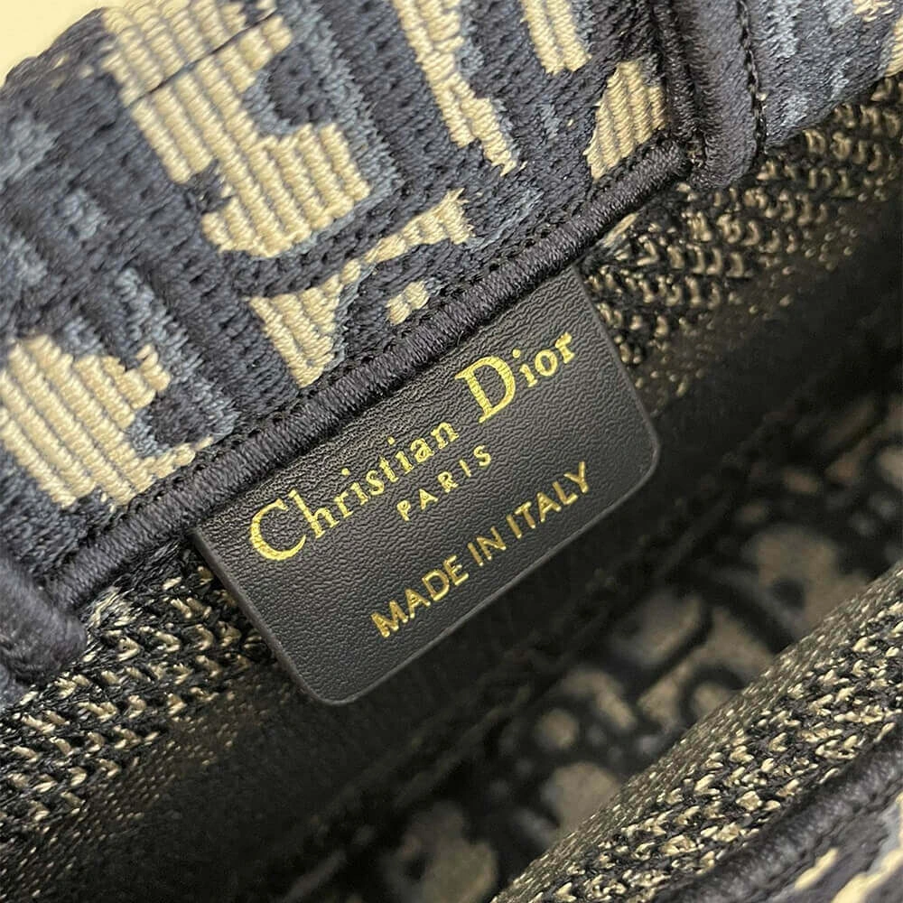 Resilient Mini Dior Book Tote 2118