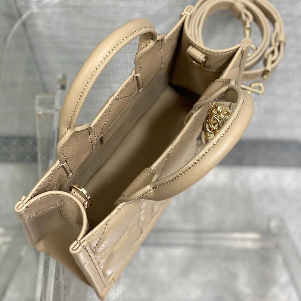 Mini Dior Book Tote WellDesigned 2054