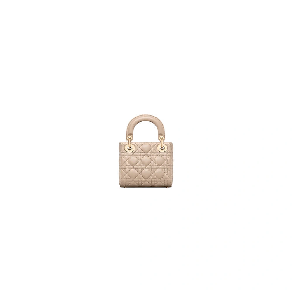 TechFriendly Mini Lady Dior Bag(HIGH-END GRADE) 2065