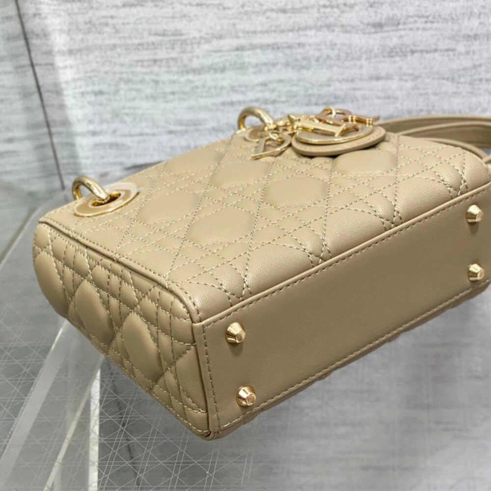 TechFriendly Mini Lady Dior Bag(HIGH-END GRADE) 2065