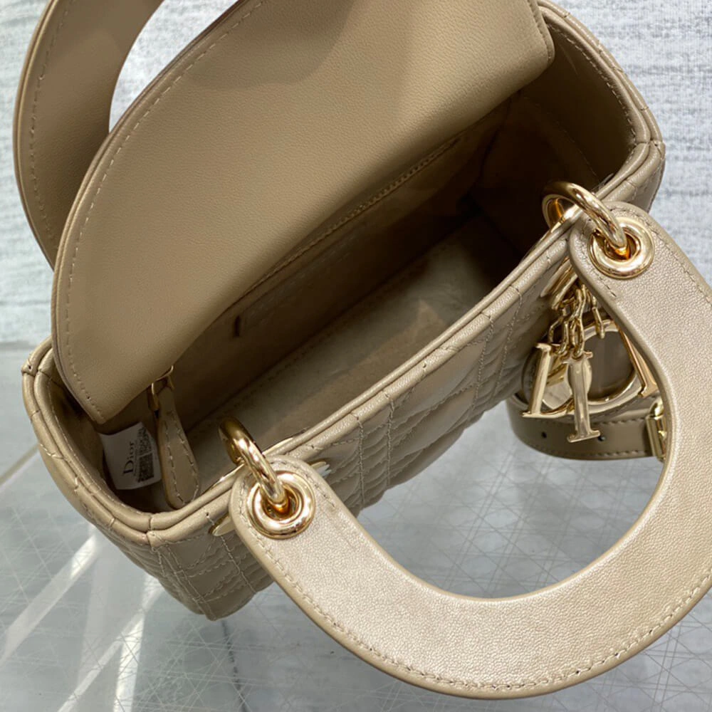 TechFriendly Mini Lady Dior Bag(HIGH-END GRADE) 2065