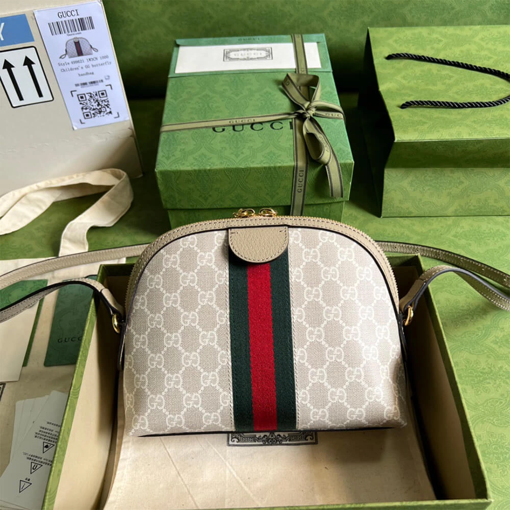 Ophidia small GG shoulder bag Supportive 1096