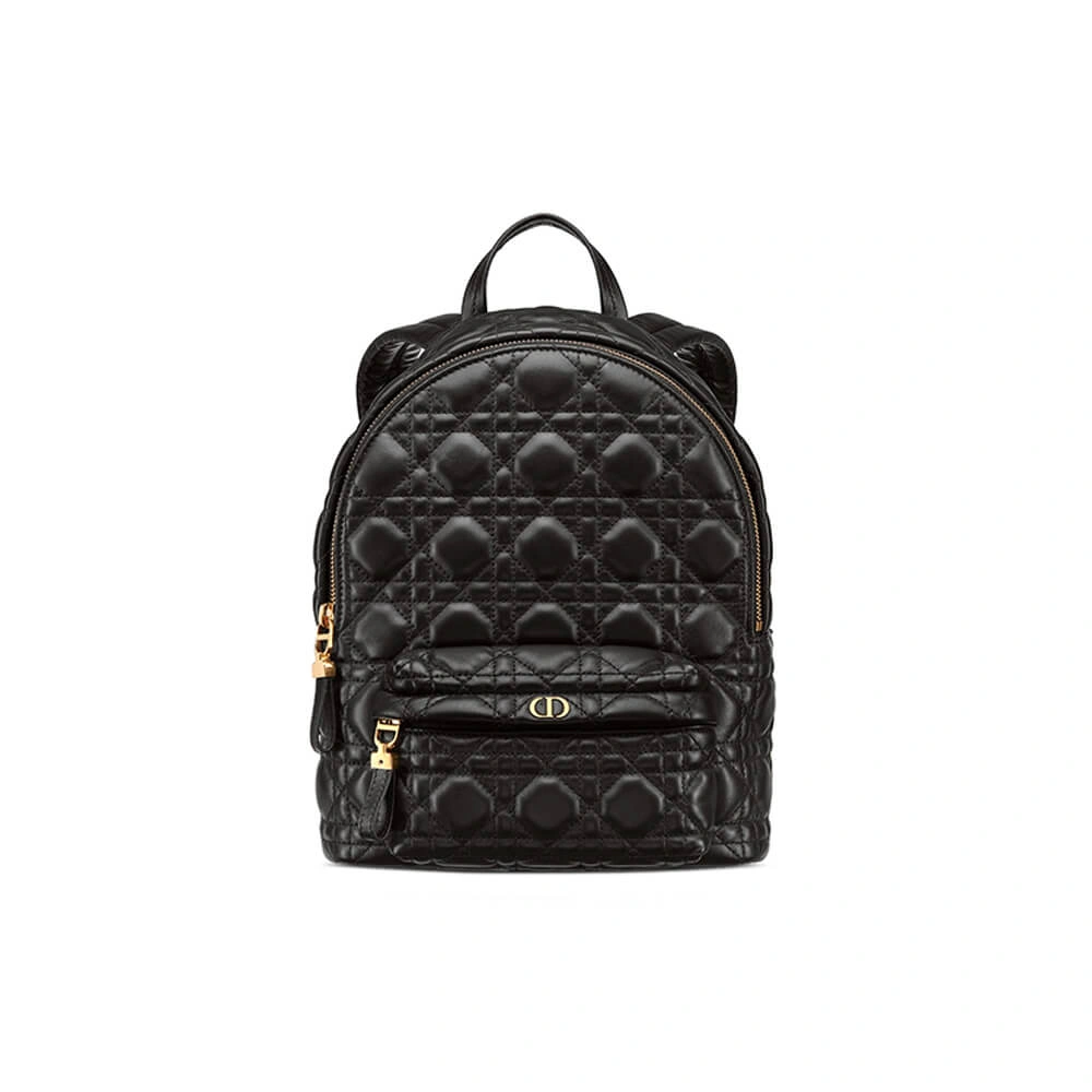 SMALL DIOR BACKPACK Flexible 2452
