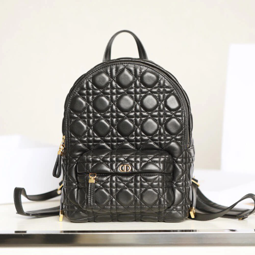 SMALL DIOR BACKPACK Flexible 2452