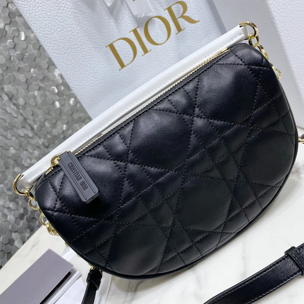 Practical SMALL DIOR VIBE HOBO BAG 2381
