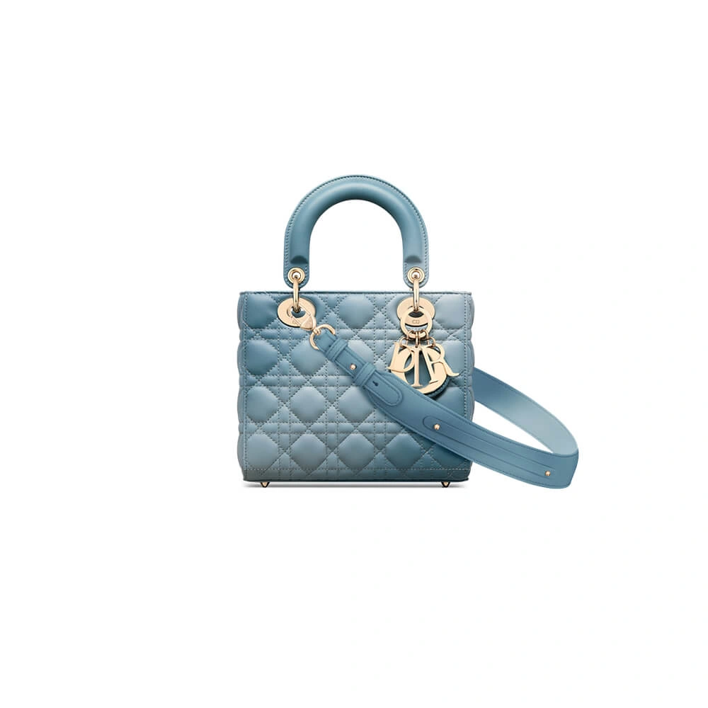 SMALL LADY DIOR MY ABCDIOR BAG Sophisticated 2346