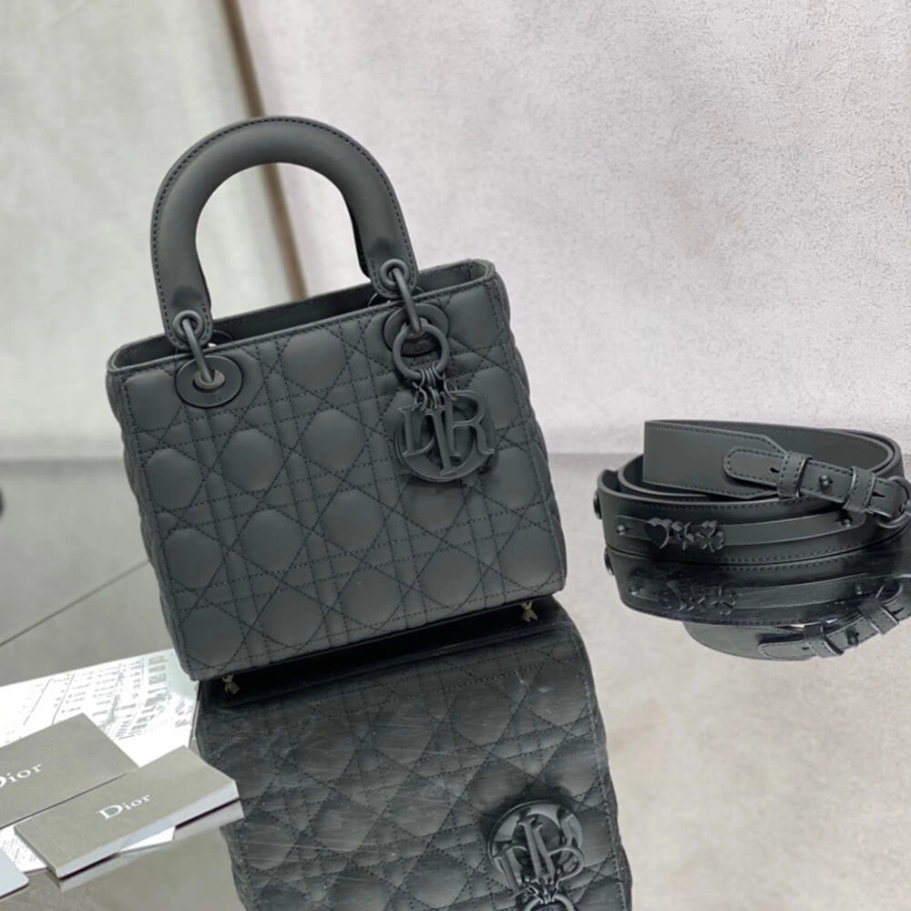 SMALL LADY DIOR MY ABCDIOR BAG AllSeason 2297
