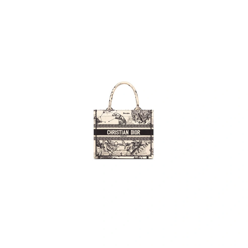 Small Dior Book Tote Flexible 2331
