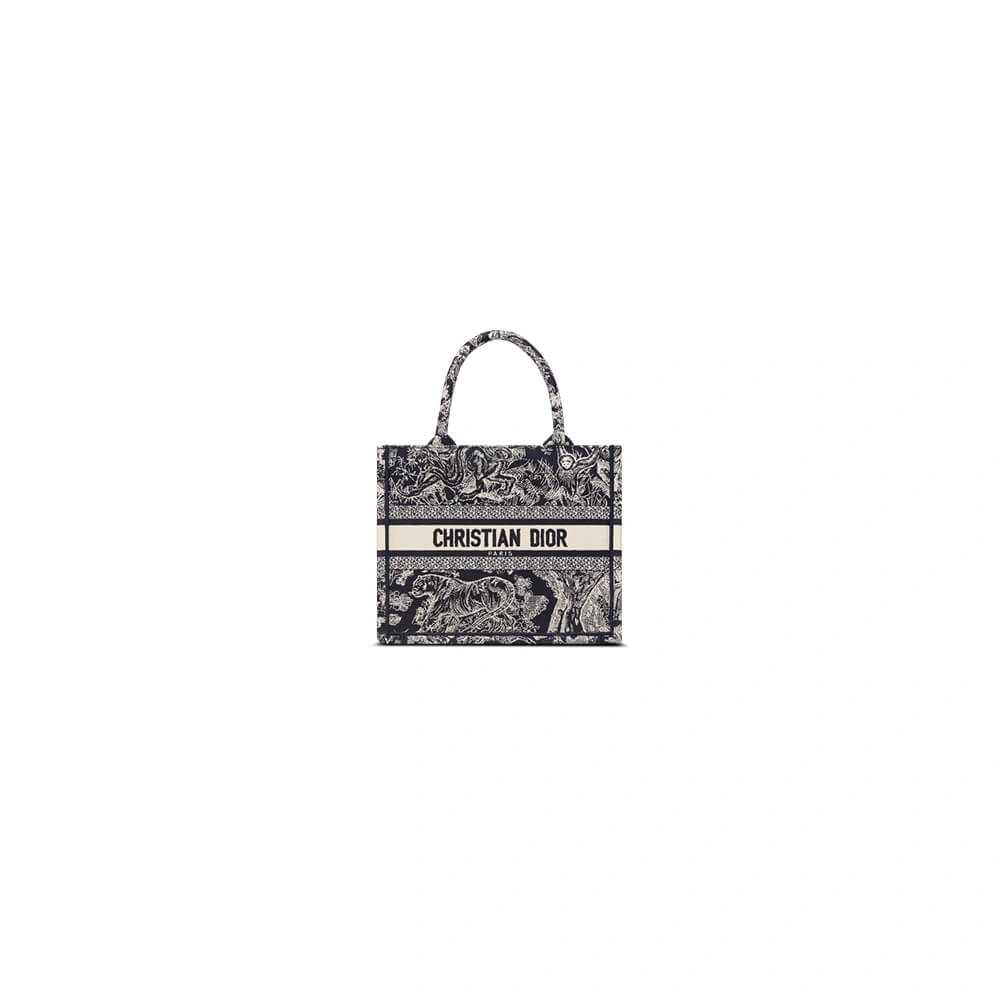 Small Dior Book Tote Durable 2352