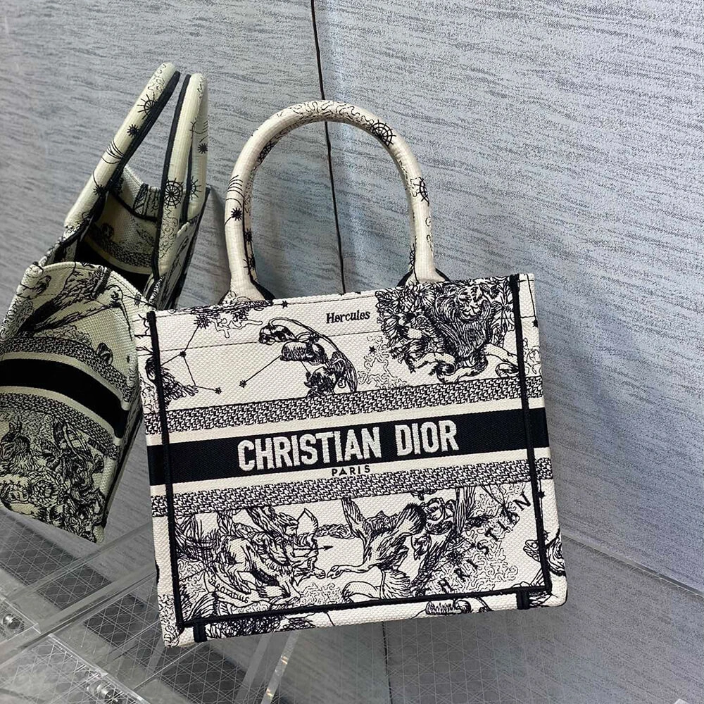 Small Dior Book Tote Flexible 2331