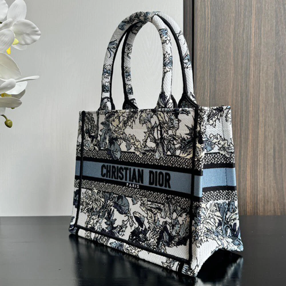 Small Dior Book Tote Trendsetting 2322