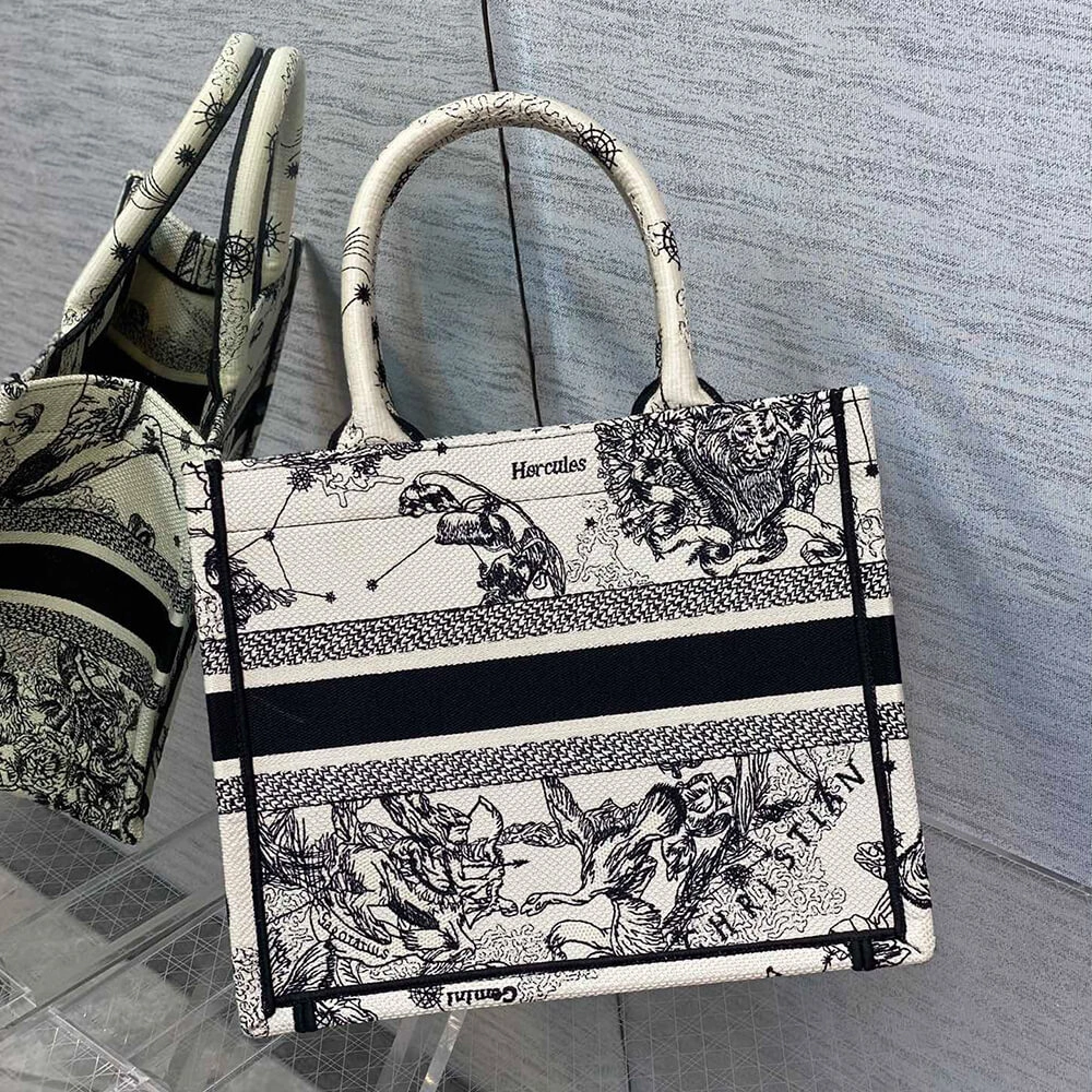 Small Dior Book Tote Flexible 2331