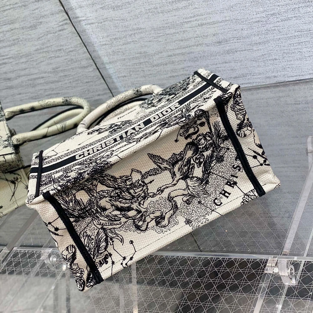 Small Dior Book Tote Flexible 2331