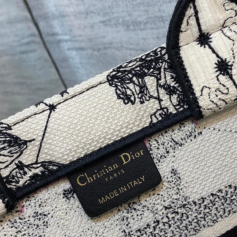 Small Dior Book Tote Flexible 2331