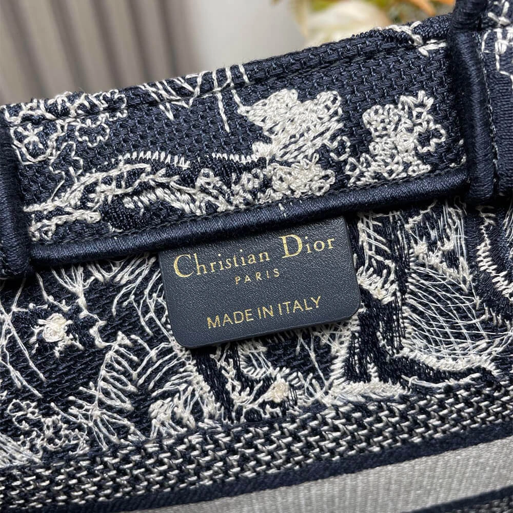 Small Dior Book Tote Durable 2352