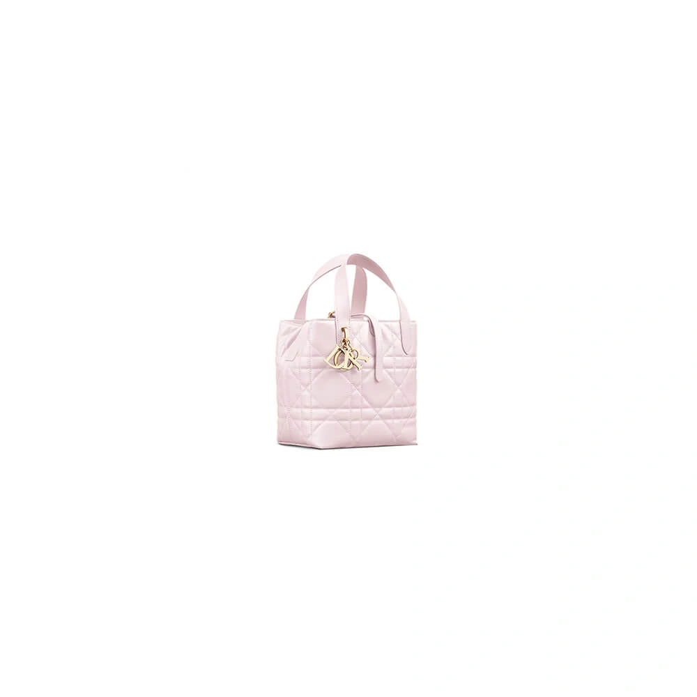 Small Dior Toujours Vertical Tote Bag(high-end grade) Effortless 2375