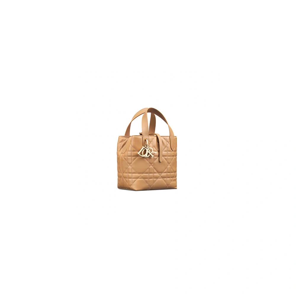 Small Dior Toujours Vertical Tote Bag(high-end grade) Fashionable 2370