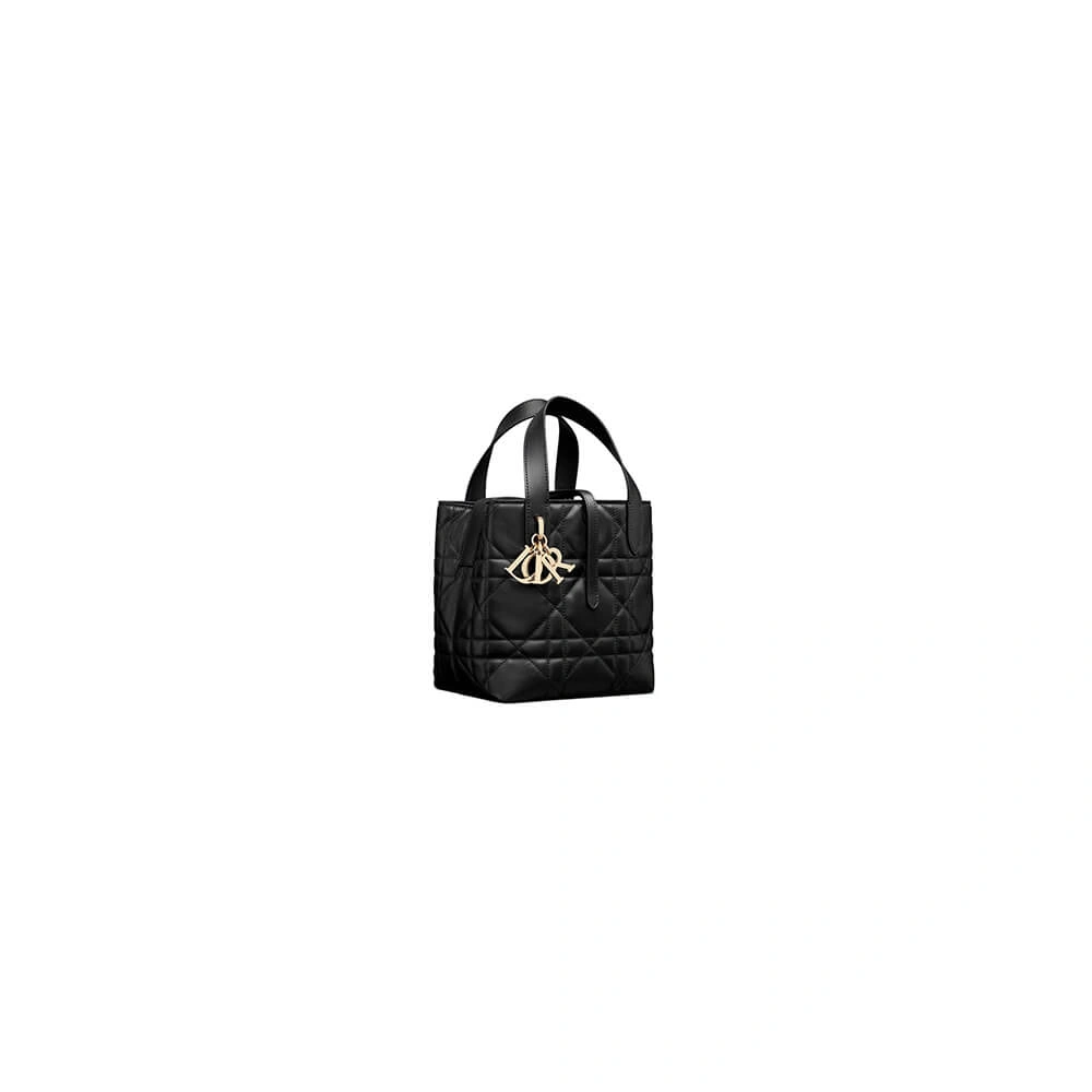 UrbanStyle Small Dior Toujours Vertical Tote Bag(high-end grade) 2371