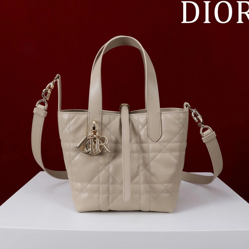 Thermal Small Dior Toujours Vertical Tote Bag(high-end grade) 2374