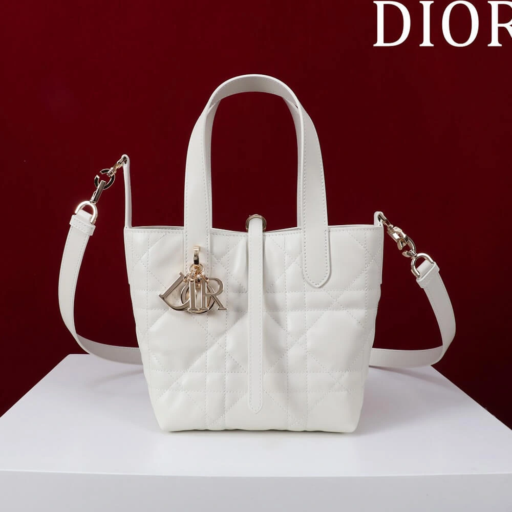 Minimalist Small Dior Toujours Vertical Tote Bag(high-end grade) 2373