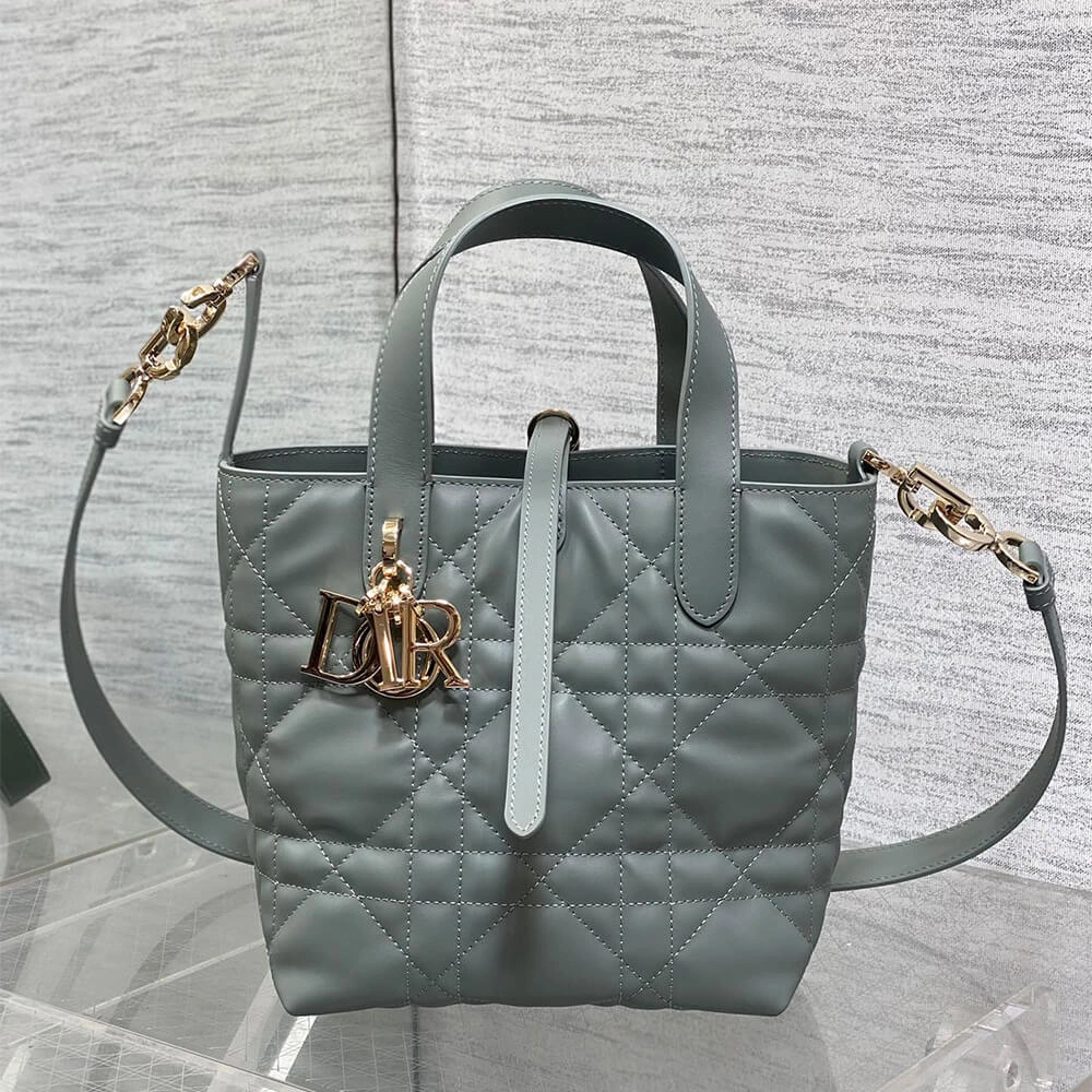 Small Dior Toujours Vertical Tote Bag(high-end grade) Classic 2369