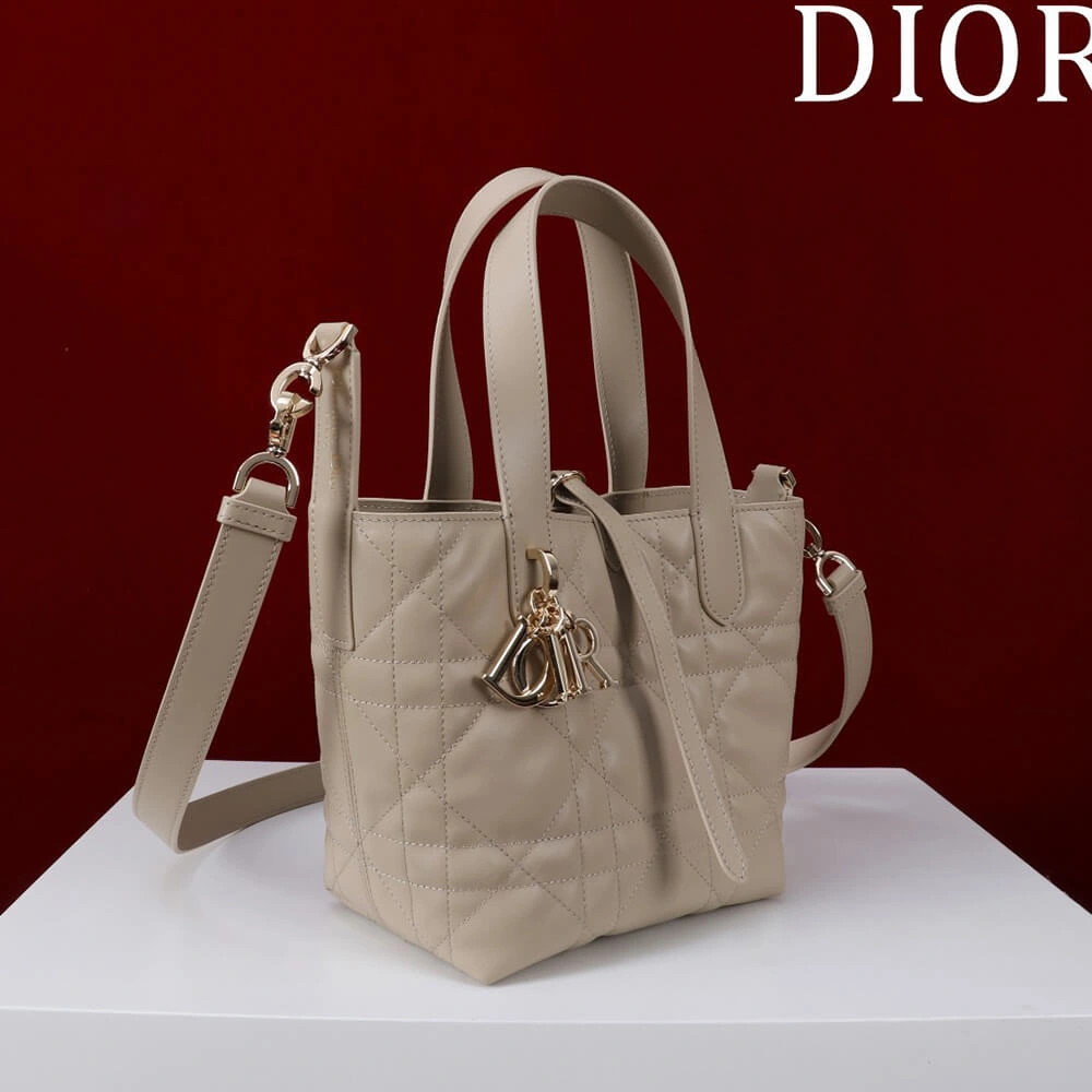 Thermal Small Dior Toujours Vertical Tote Bag(high-end grade) 2374