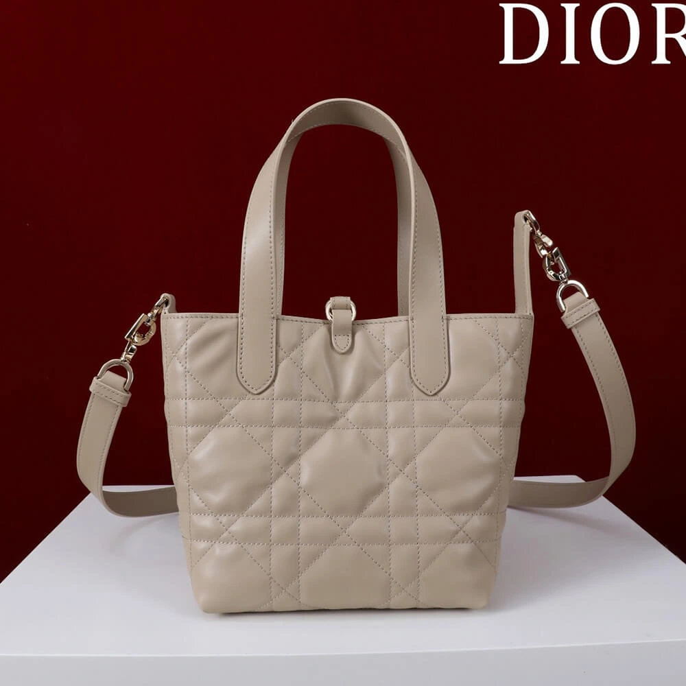 Thermal Small Dior Toujours Vertical Tote Bag(high-end grade) 2374