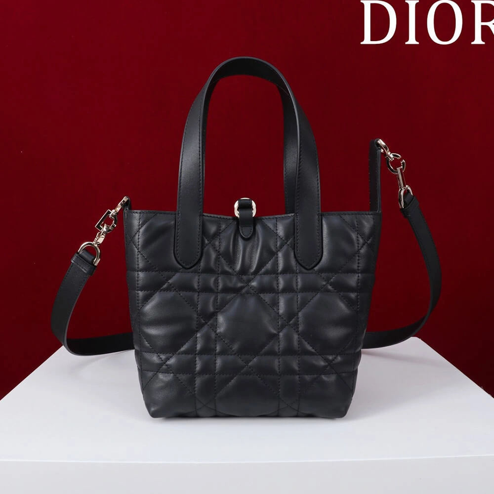 UrbanStyle Small Dior Toujours Vertical Tote Bag(high-end grade) 2371