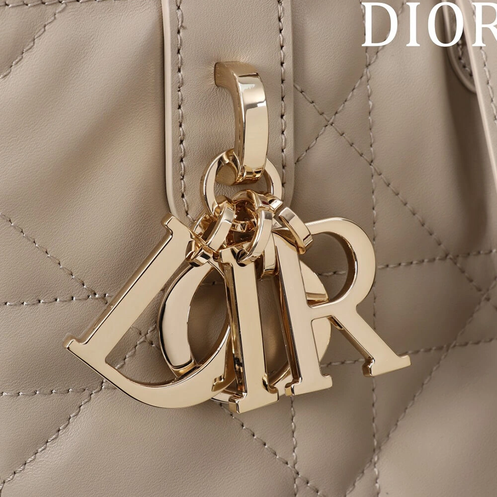 Thermal Small Dior Toujours Vertical Tote Bag(high-end grade) 2374