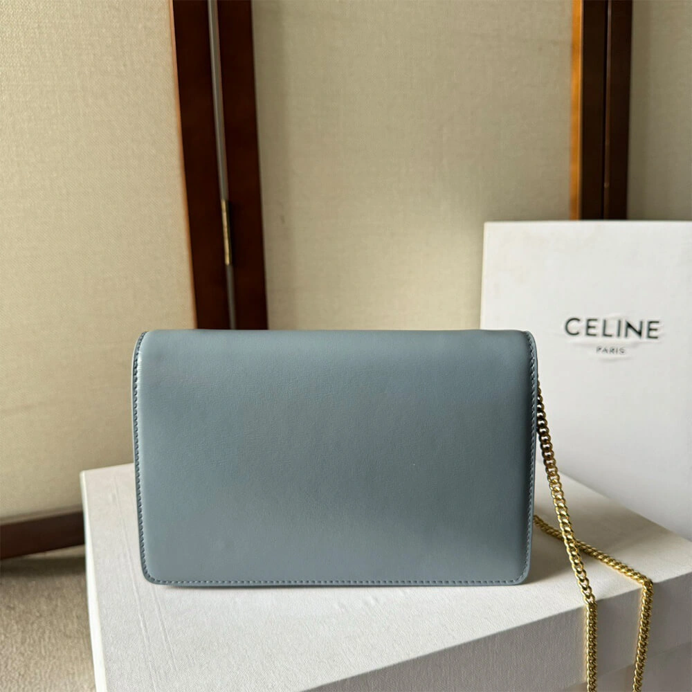 WALLET ON CHAIN MARGO in Shiny calfskin(HIGH-END GRADE) EasyCare 2476