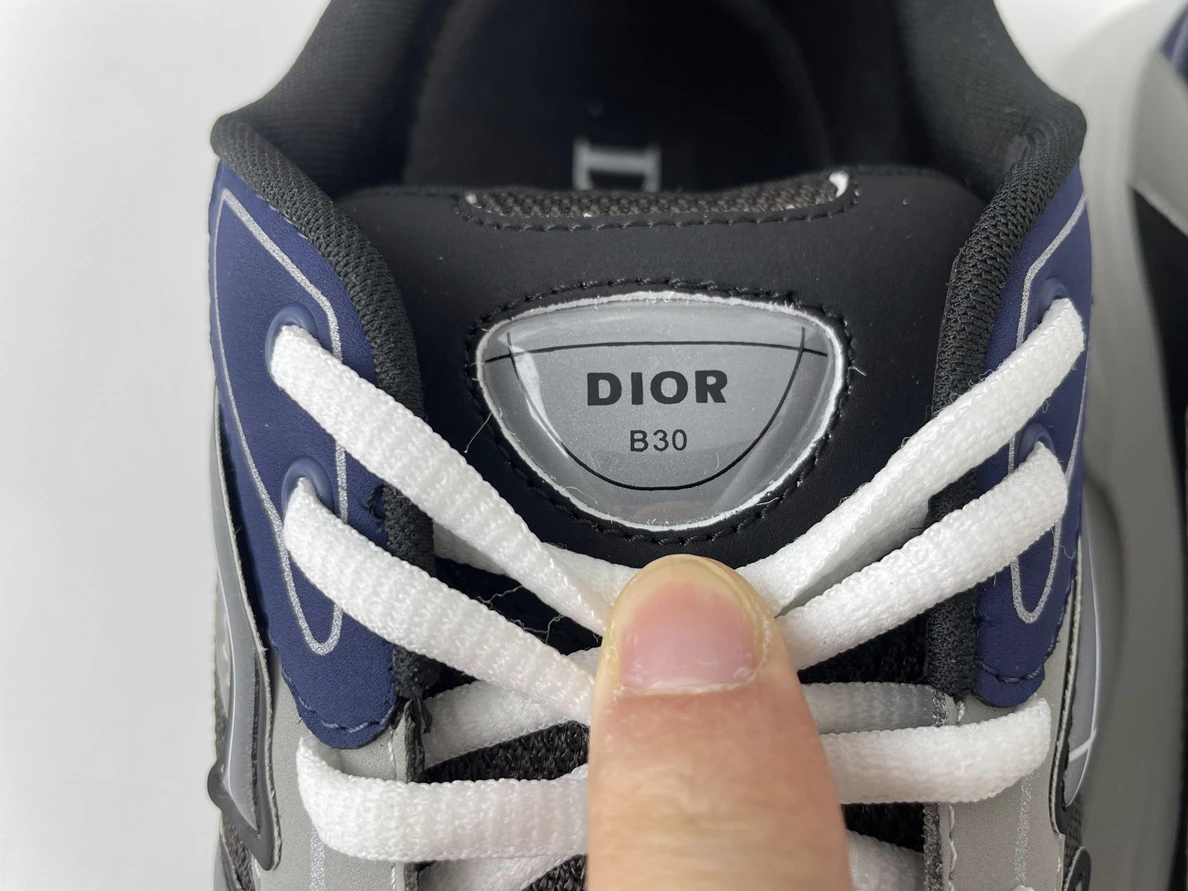 1431 Dior B30 Black Blue DailyWear 1546