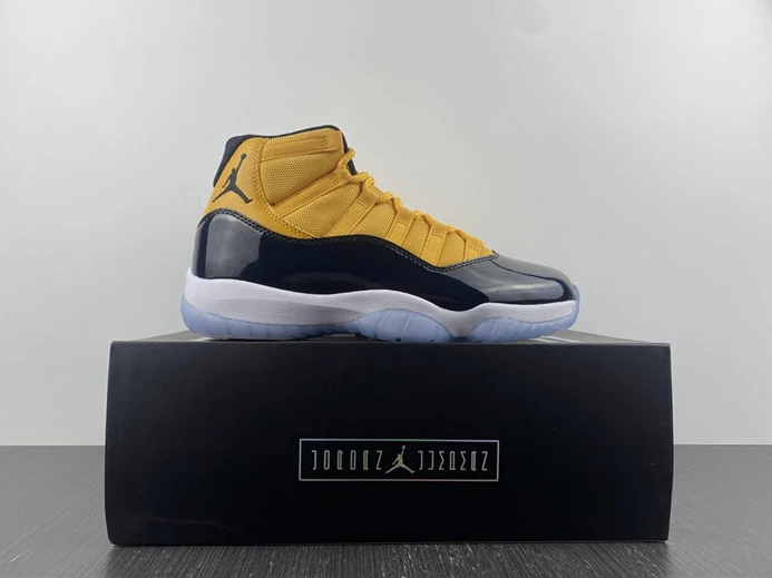 2488 Jordan 11 CT8012- StreetReady 1059